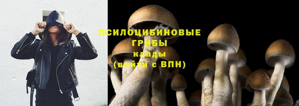 прущий лед Армянск
