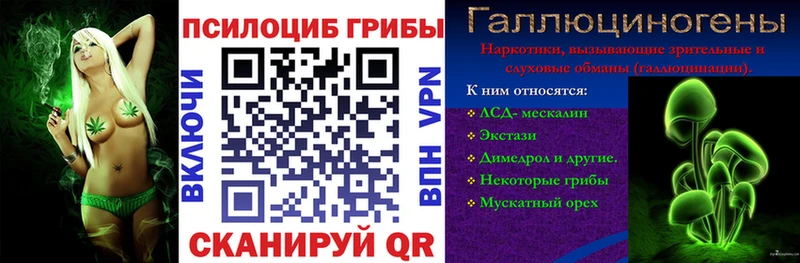 Галлюциногенные грибы ЛСД  даркнет сайт  kraken вход  Чудово 